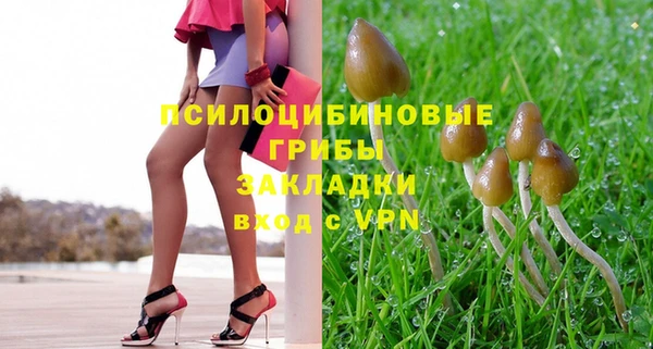 экстази Алексин